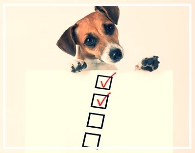 checklist for dogs